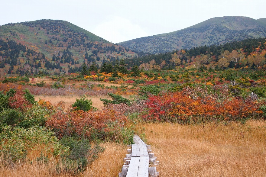 八甲田山