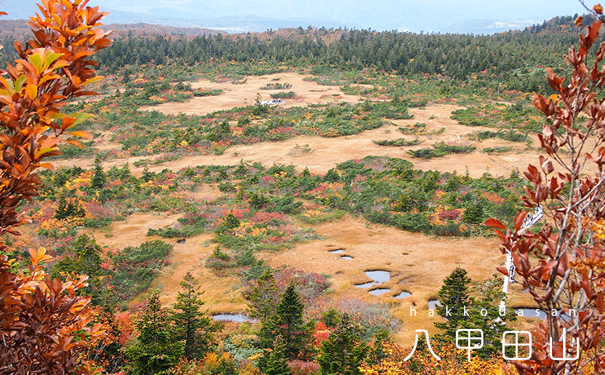 埼玉からの山歩き 関東日帰り登山 トレッキング